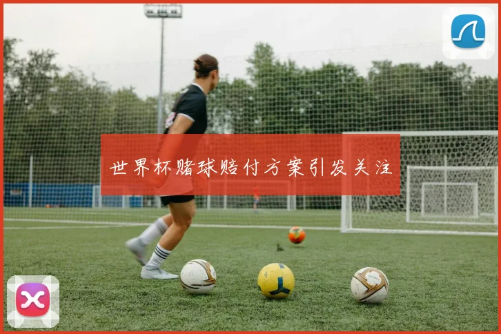 世界杯赌球赔付方案引发关注