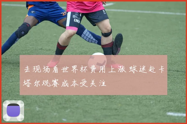 去现场看世界杯费用上涨 球迷赴卡塔尔观赛成本受关注