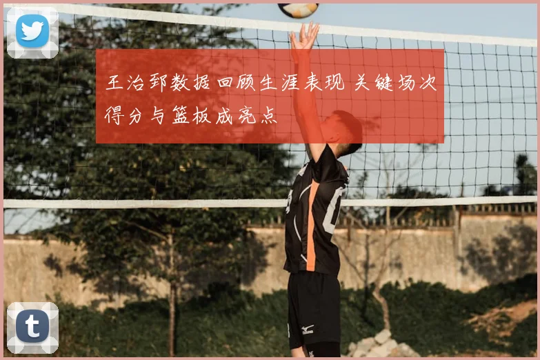 王治郅数据回顾生涯表现 关键场次得分与篮板成亮点