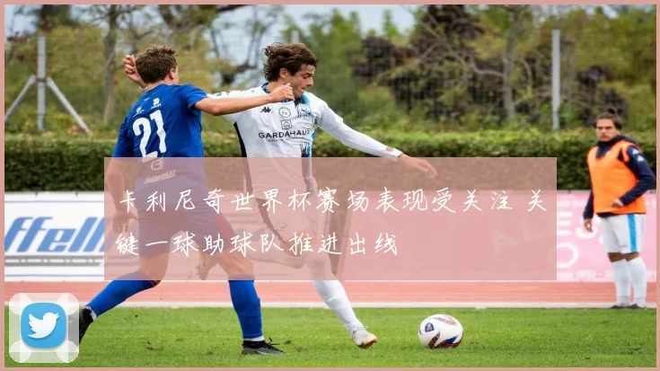 卡利尼奇世界杯赛场表现受关注 关键一球助球队推进出线