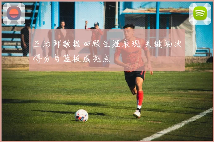 王治郅数据回顾生涯表现 关键场次得分与篮板成亮点