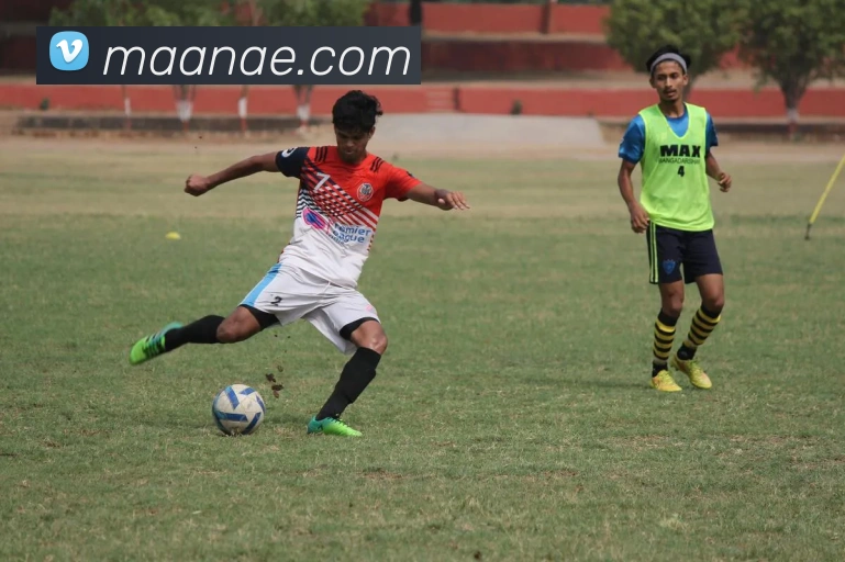 世界杯平台官网登录平台生态图